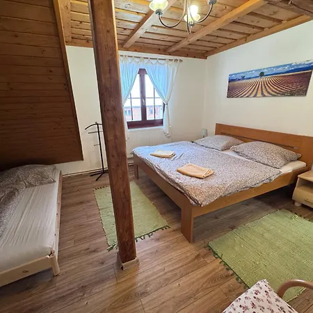 Feriehus Zazrivsky Dvor - Magura, Wellness, Self Check-in, 6 Bedrooms, 4 Bathrooms Zázrivá