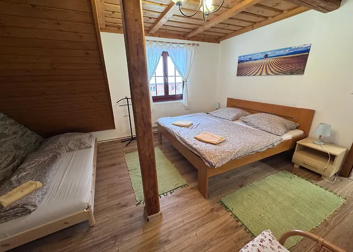 Ferienhaus Zazrivsky Dvor - Magura, Wellness, Self Check-in, 6 Bedrooms, 4 Bathrooms Zázrivá